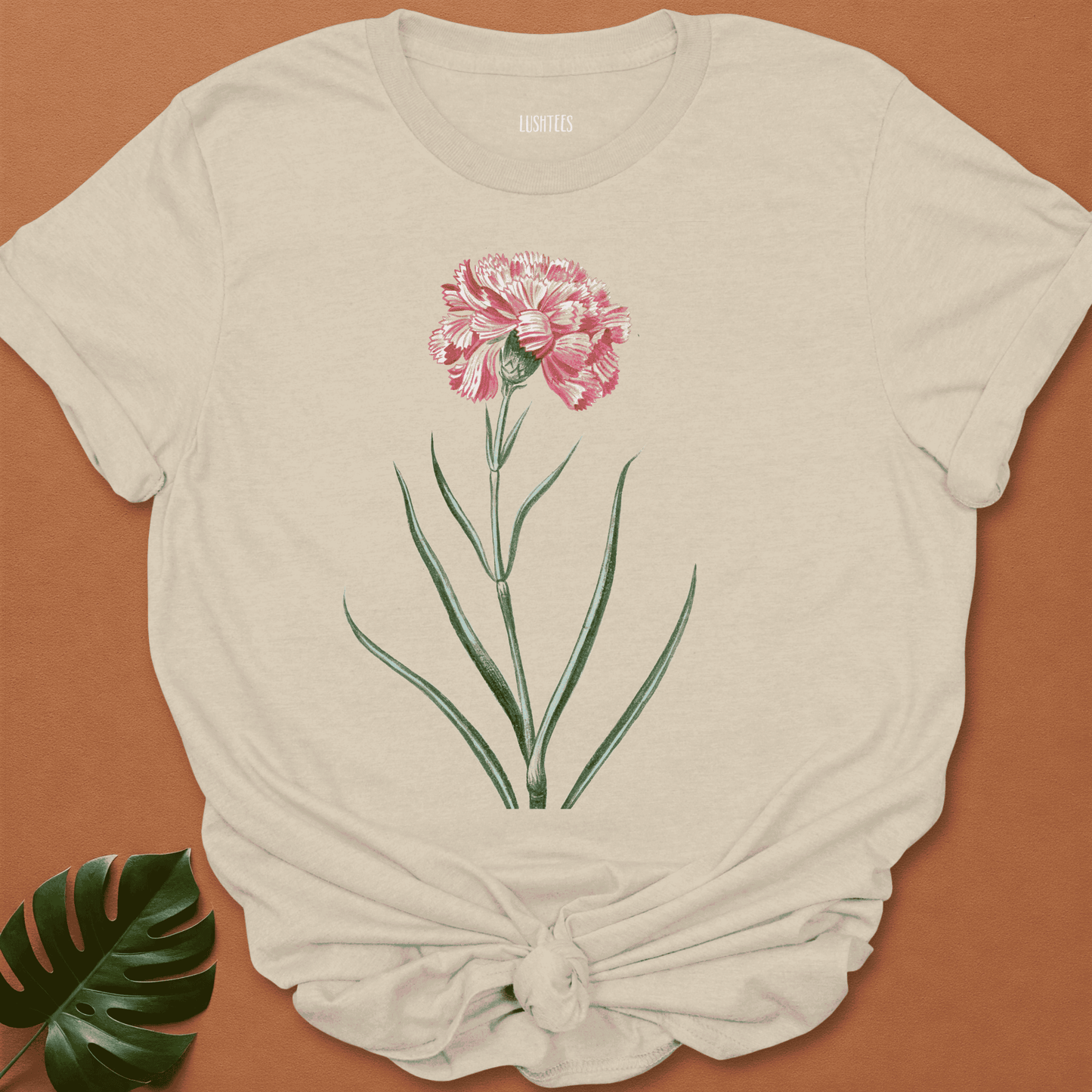 Pink Carnation Botanical