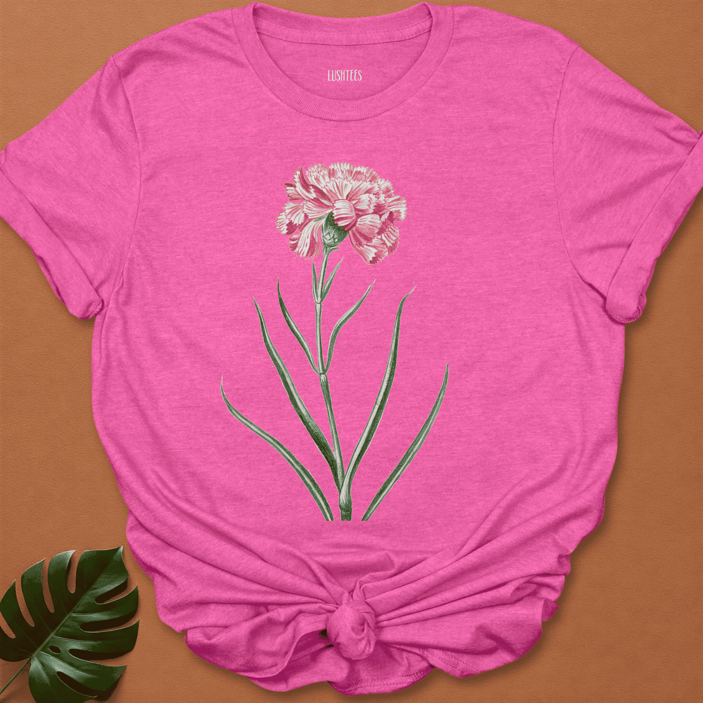 Pink Carnation Botanical