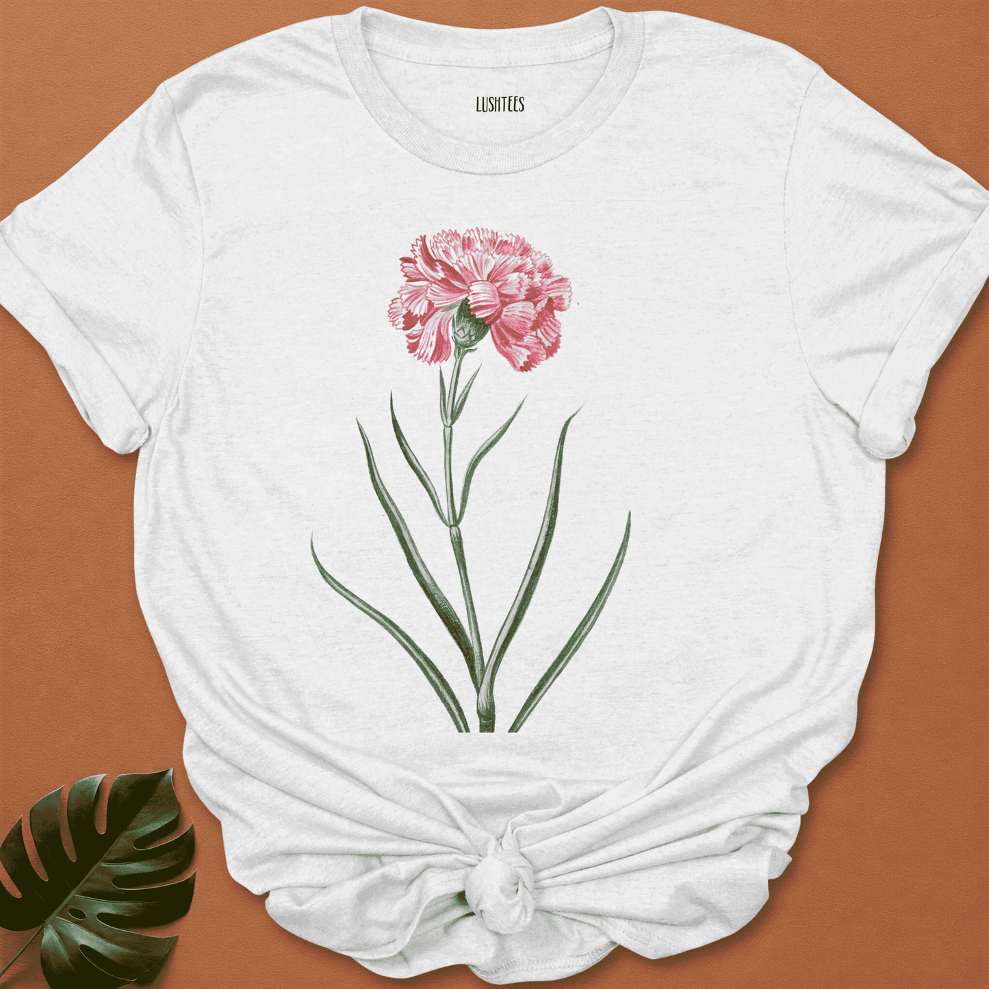 Pink Carnation Botanical