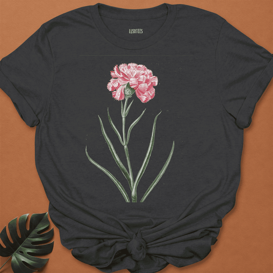 Pink Carnation Botanical