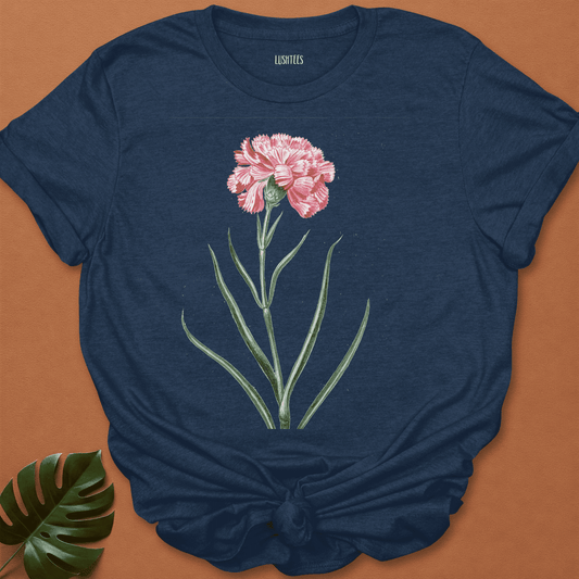 Pink Carnation Botanical