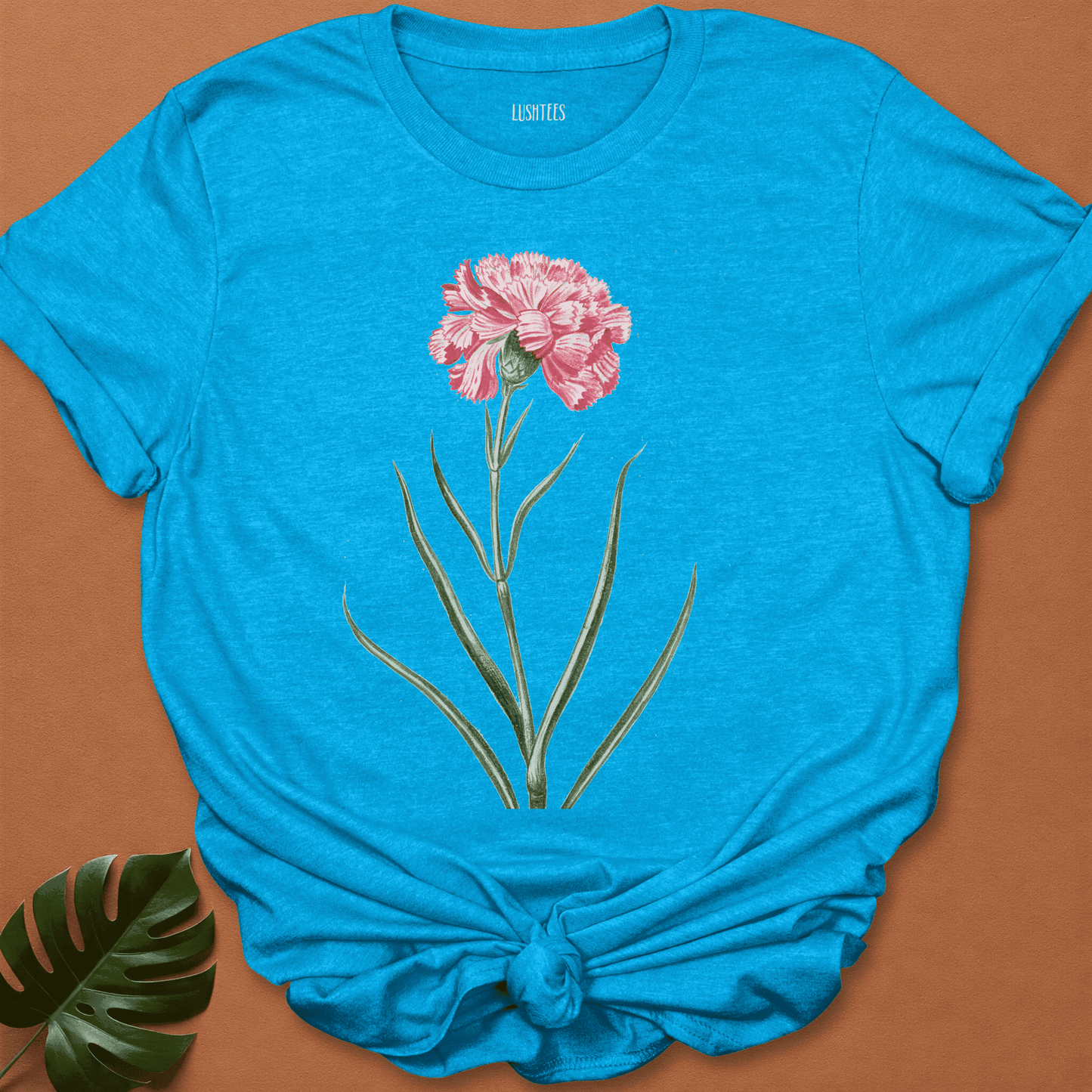 Pink Carnation Botanical